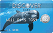 Discover� More(SM) Card - Sealife Collection - Balance Transfer