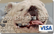 Personalized BucksBack(SM) Visa® Card - Credit Card