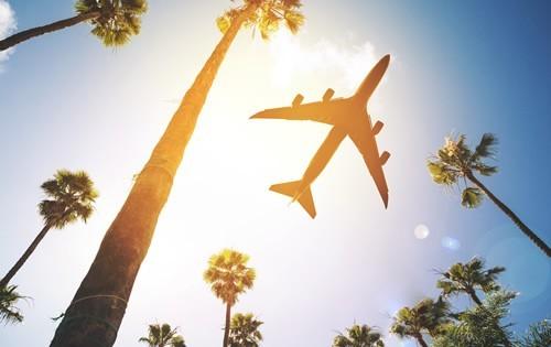 palm-trees-airplane