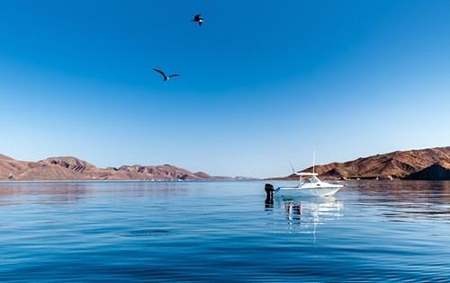 retirement-fishing-boat