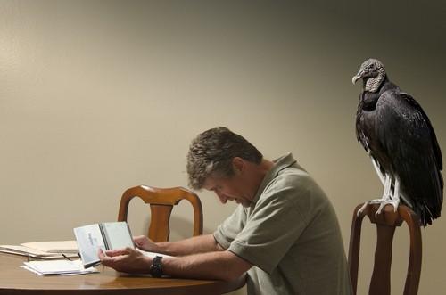 pay-bills-on-time1.jpg